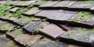 Chalgrove roof repair costs